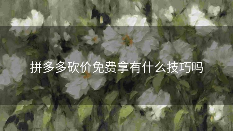 拼多多砍价免费拿有什么技巧吗 拼多多砍价免费拿有什么技巧吗