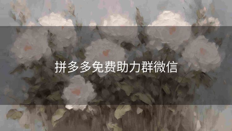 拼多多免费助力群微信 拼多多免费助力群微信
