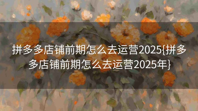 拼多多店铺前期怎么去运营2025{拼多多店铺前期怎么去运营2025年}