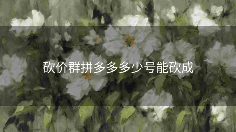 砍价群拼多多多少号能砍成 砍价群拼多多多少号能砍成