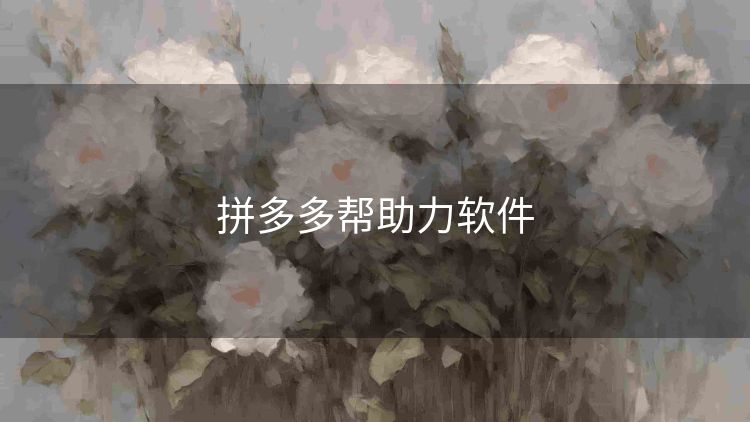 拼多多帮助力软件 拼多多帮助力软件