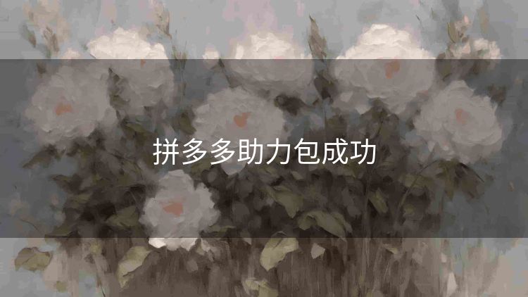 拼多多助力包成功