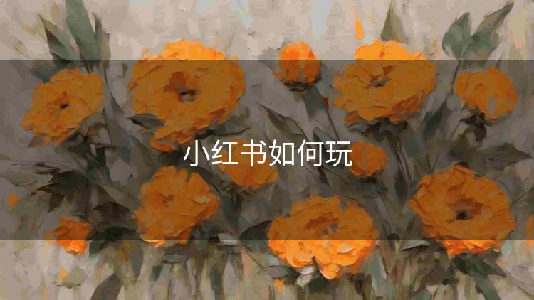 小红书如何玩