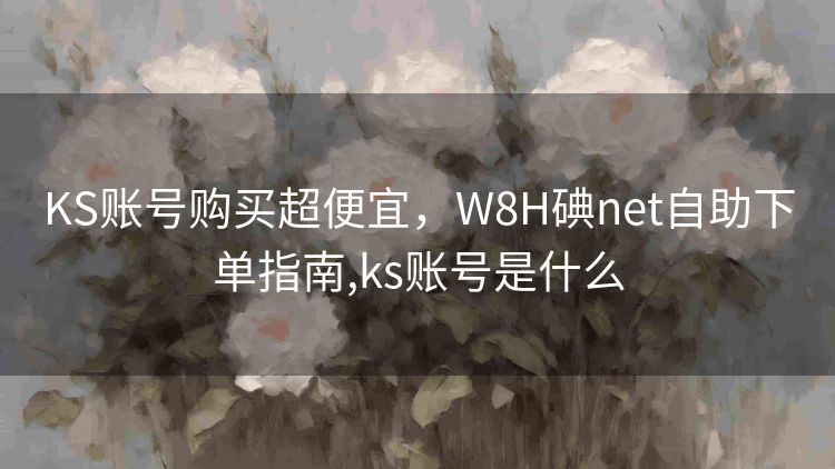 KS账号购买超便宜，W8H碘net自助下单指南,ks账号是什么
