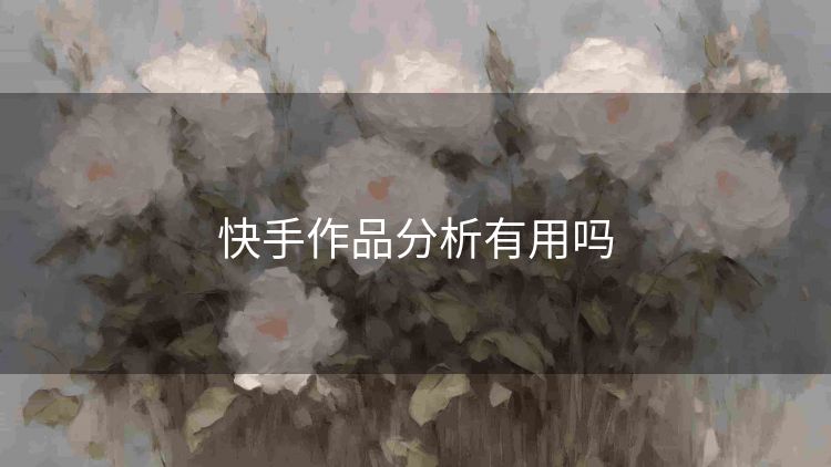 快手作品分析有用吗