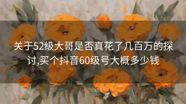 关于52级大哥是否真花了几百万的探讨,买个抖音60级号大概多少钱