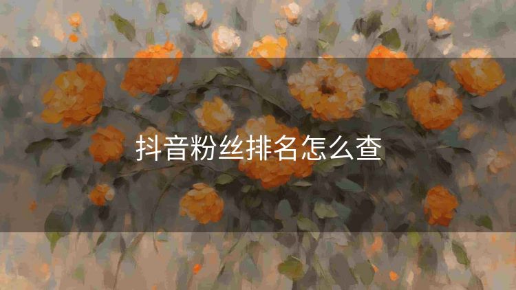 抖音粉丝排名怎么查