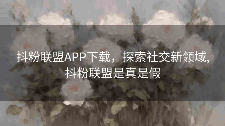 抖粉联盟APP下载,探索社交新领域,抖粉联盟是真是假 抖粉联盟APP下载,探索社交新领域,抖粉联盟是真是假