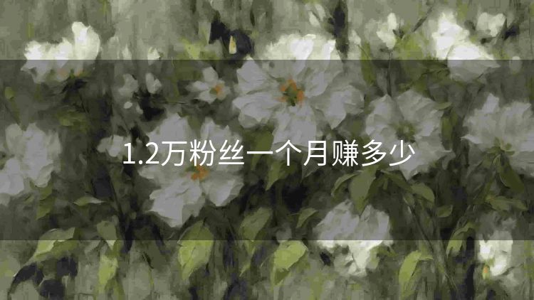 1.2万粉丝一个月赚多少