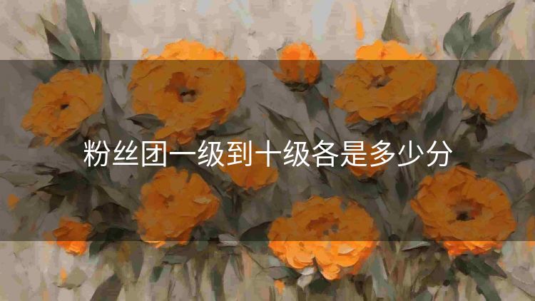 粉丝团一级到十级各是多少分 粉丝团一级到十级各是多少分