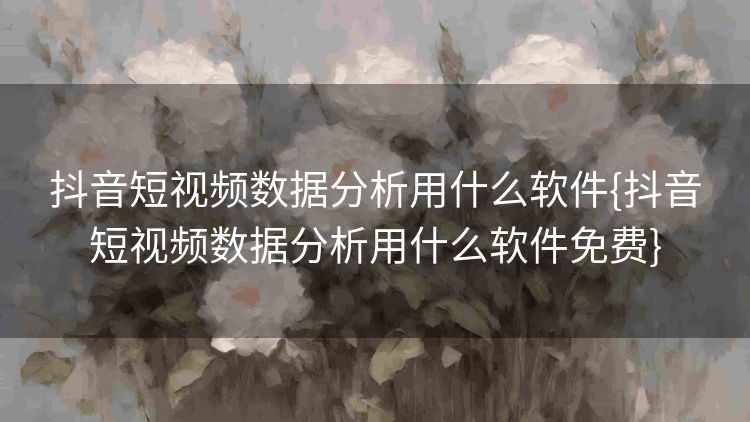 抖音短视频数据分析用什么软件{抖音短视频数据分析用什么软件免费}