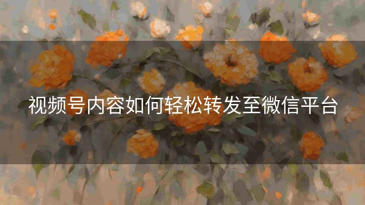 视频号内容如何轻松转发至微信平台 视频号内容如何轻松转发至微信平台