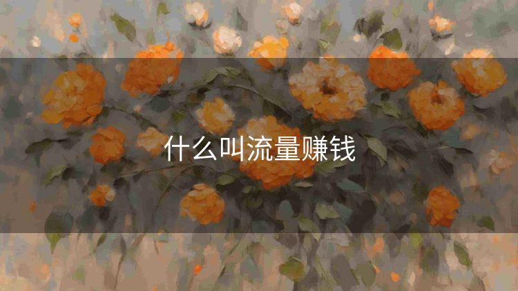 什么叫流量赚钱 什么叫流量赚钱