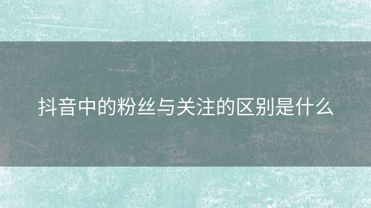 抖音中的粉丝与关注的区别是什么