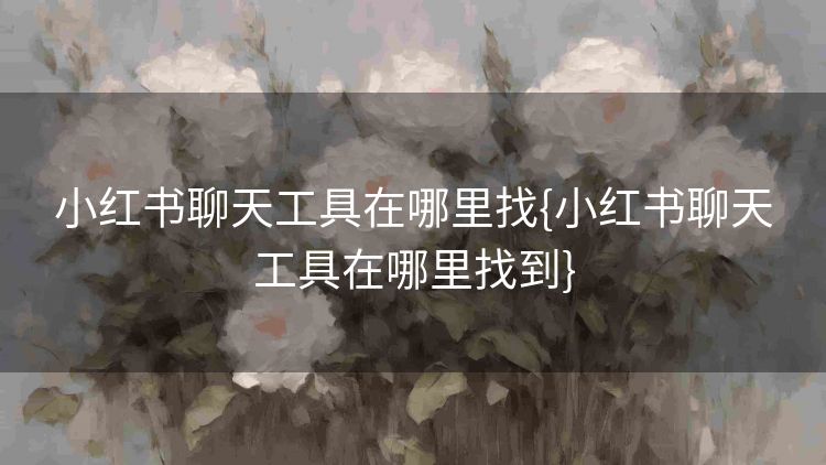 小红书聊天工具在哪里找{小红书聊天工具在哪里找到}