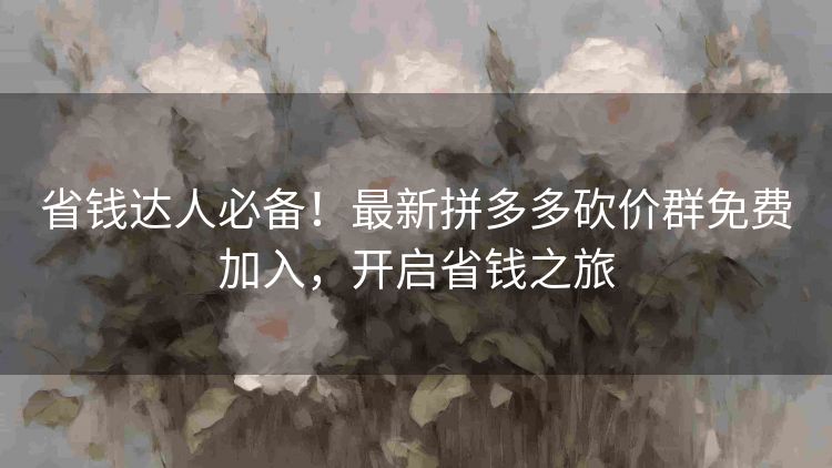 省钱达人必备!最新拼多多砍价群免费加入,开启省钱之旅 省钱达人必备!最新拼多多砍价群免费加入,开启省钱之旅