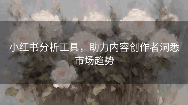 小红书分析工具，助力内容创作者洞悉市场趋势