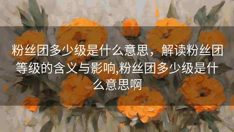粉丝团多少级是什么意思,解读粉丝团等级的含义与影响,粉丝团多少级是什么意思啊 粉丝团多少级是什么意思,解读粉丝团等级的含义与影响,粉丝团多少级是什么意思啊