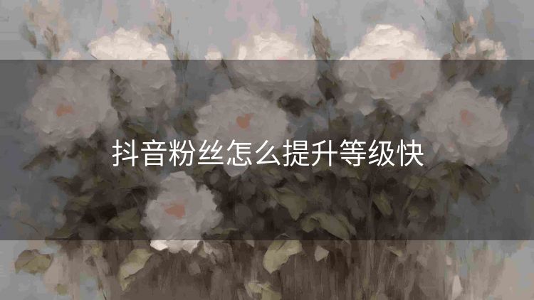 抖音粉丝怎么提升等级快 抖音粉丝怎么提升等级快