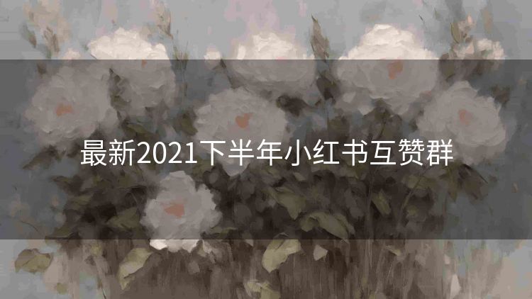 最新2021下半年小红书互赞群