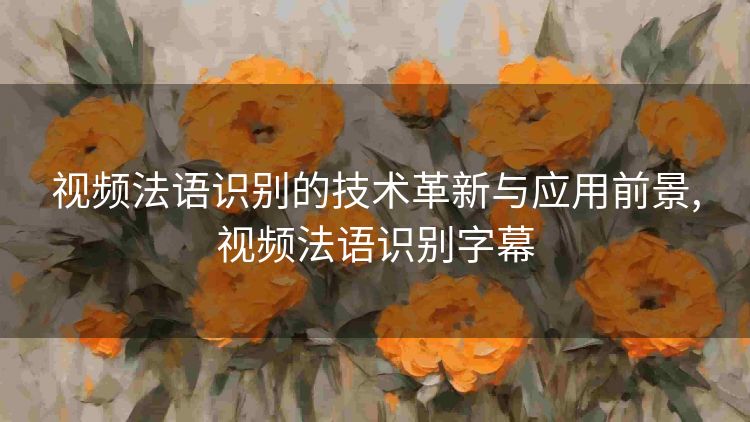 视频法语识别的技术革新与应用前景,视频法语识别字幕 视频法语识别的技术革新与应用前景,视频法语识别字幕