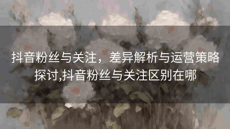 抖音粉丝与关注,差异解析与运营策略探讨,抖音粉丝与关注区别在哪 抖音粉丝与关注,差异解析与运营策略探讨,抖音粉丝与关注区别在哪