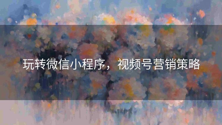 玩转微信小程序,视频号营销策略 玩转微信小程序,视频号营销策略