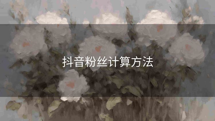抖音粉丝计算方法