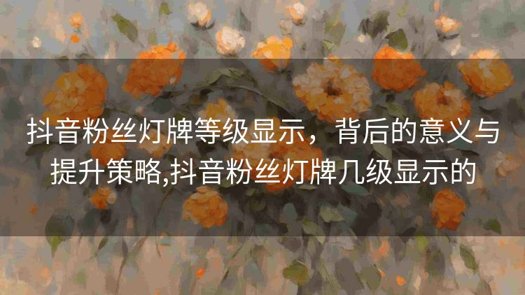 抖音粉丝灯牌等级显示，背后的意义与提升策略,抖音粉丝灯牌几级显示的