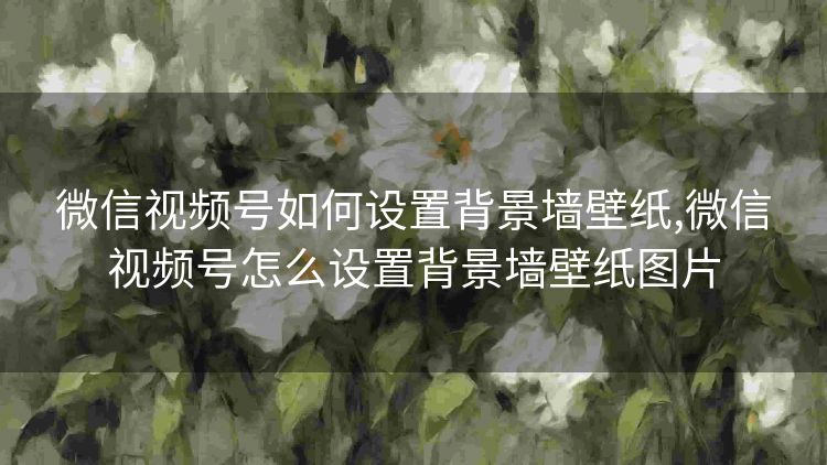 微信视频号如何设置背景墙壁纸,微信视频号怎么设置背景墙壁纸图片 微信视频号如何设置背景墙壁纸,微信视频号怎么设置背景墙壁纸图片