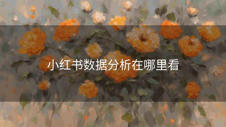 小红书数据分析在哪里看 小红书数据分析在哪里看