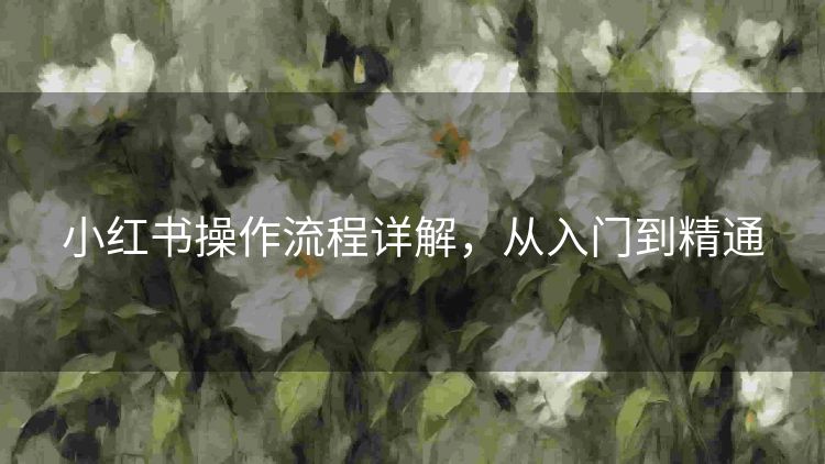小红书操作流程详解,从入门到精通 小红书操作流程详解,从入门到精通