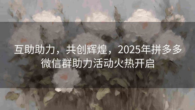 互助助力，共创辉煌，2025年拼多多微信群助力活动火热开启