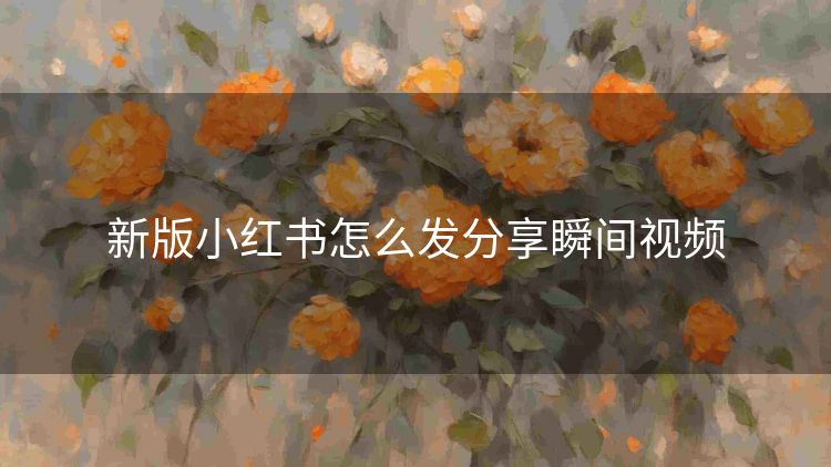 新版小红书怎么发分享瞬间视频 新版小红书怎么发分享瞬间视频