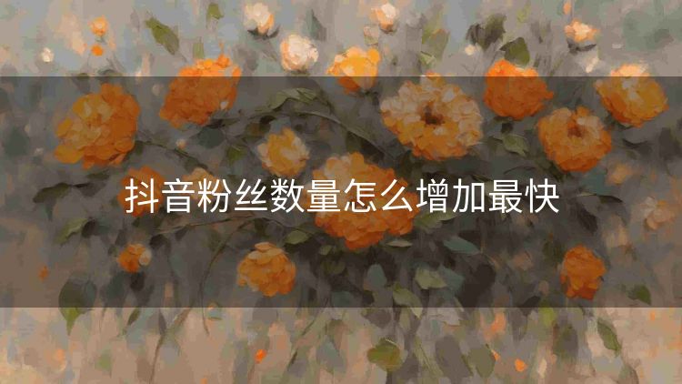 抖音粉丝数量怎么增加最快