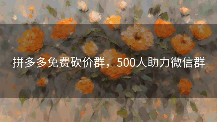 拼多多免费砍价群,500人助力微信群 拼多多免费砍价群,500人助力微信群