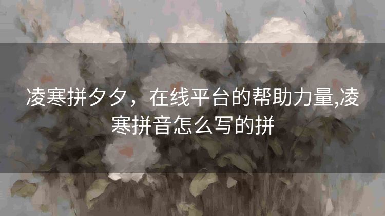 凌寒拼夕夕，在线平台的帮助力量,凌寒拼音怎么写的拼