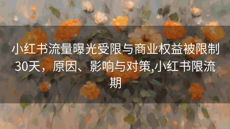 小红书流量曝光受限与商业权益被限制30天,原因、影响与对策,小红书限流期 小红书流量曝光受限与商业权益被限制30天,原因、影响与对策,小红书限流期