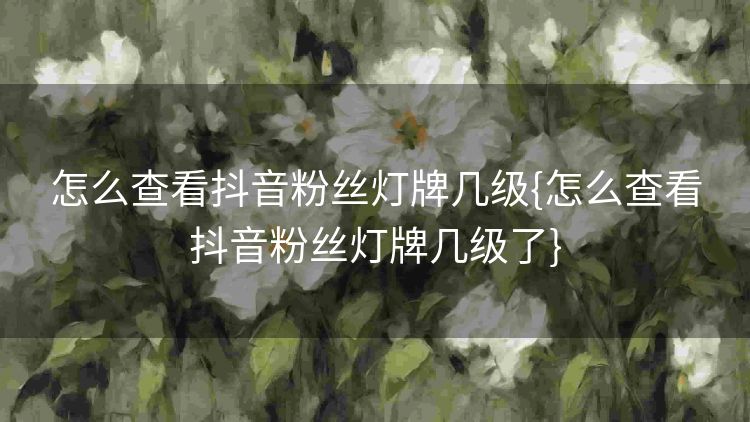 怎么查看抖音粉丝灯牌几级{怎么查看抖音粉丝灯牌几级了} 怎么查看抖音粉丝灯牌几级{怎么查看抖音粉丝灯牌几级了}