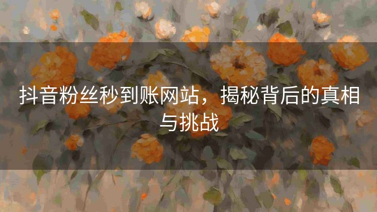 抖音粉丝秒到账网站,揭秘背后的真相与挑战 抖音粉丝秒到账网站,揭秘背后的真相与挑战