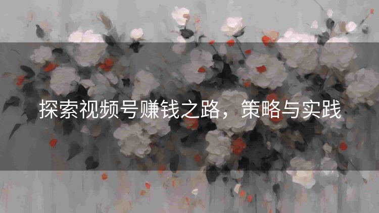 探索视频号赚钱之路,策略与实践 探索视频号赚钱之路,策略与实践