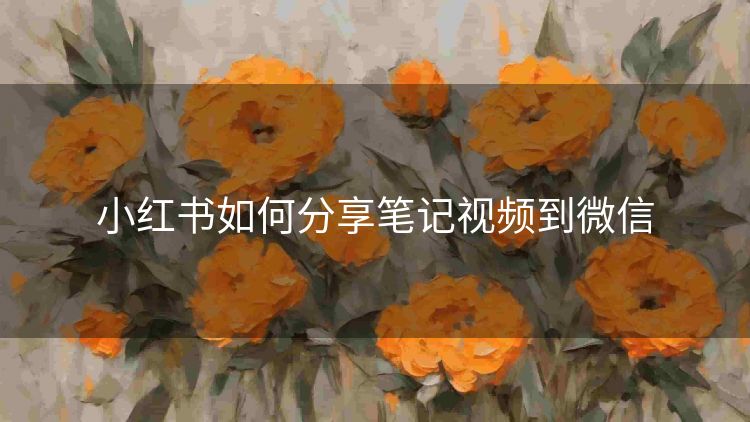 小红书如何分享笔记视频到微信