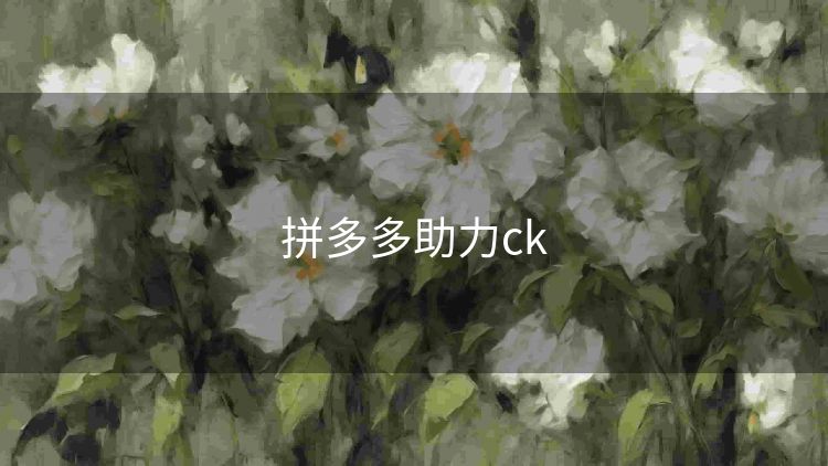 拼多多助力ck 拼多多助力ck