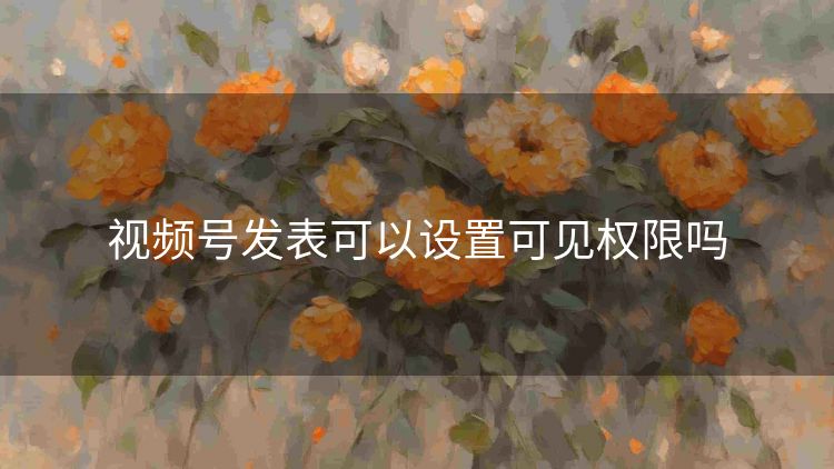 视频号发表可以设置可见权限吗