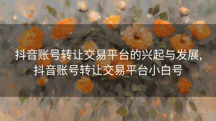 抖音账号转让交易平台的兴起与发展,抖音账号转让交易平台小白号