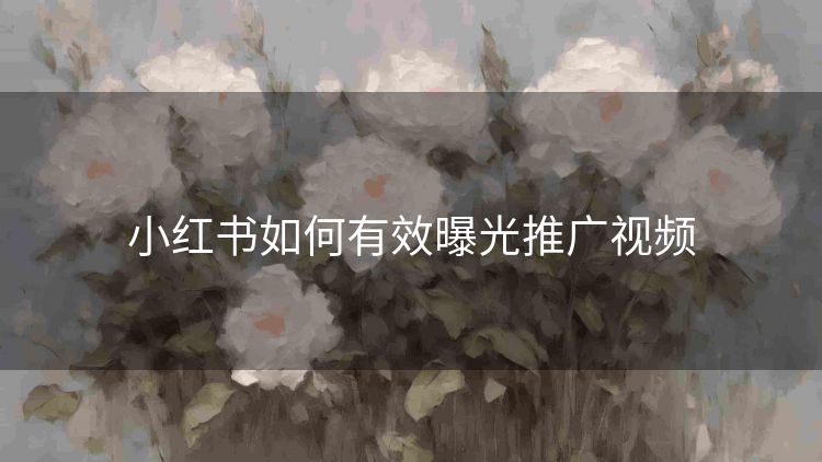 小红书如何有效曝光推广视频 小红书如何有效曝光推广视频