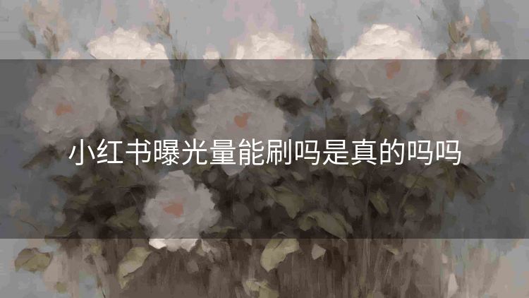 小红书曝光量能刷吗是真的吗吗