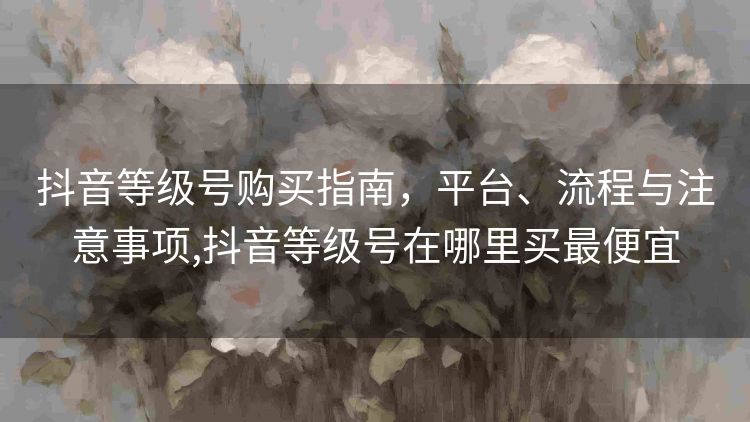 抖音等级号购买指南,平台、流程与注意事项,抖音等级号在哪里买最便宜 抖音等级号购买指南,平台、流程与注意事项,抖音等级号在哪里买最便宜