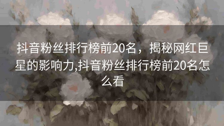 抖音粉丝排行榜前20名，揭秘网红巨星的影响力,抖音粉丝排行榜前20名怎么看