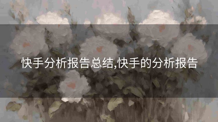 快手分析报告总结,快手的分析报告 快手分析报告总结,快手的分析报告